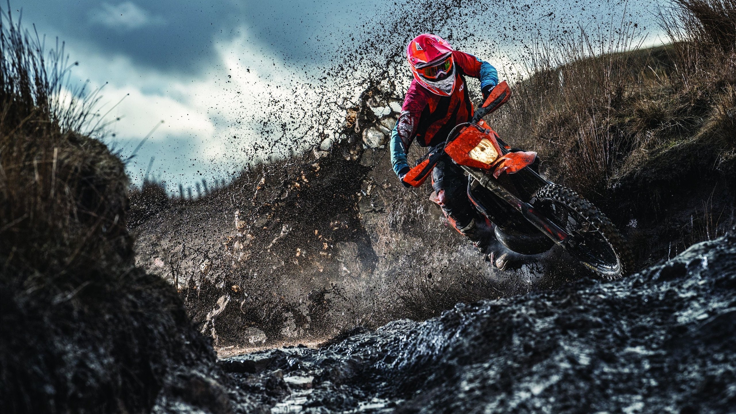 青少年专项运动兴趣激发机制研究，青少年运动技能